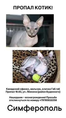 Продажа б/у кухонной плиты в Симферополе - частное объявление в Симферополь