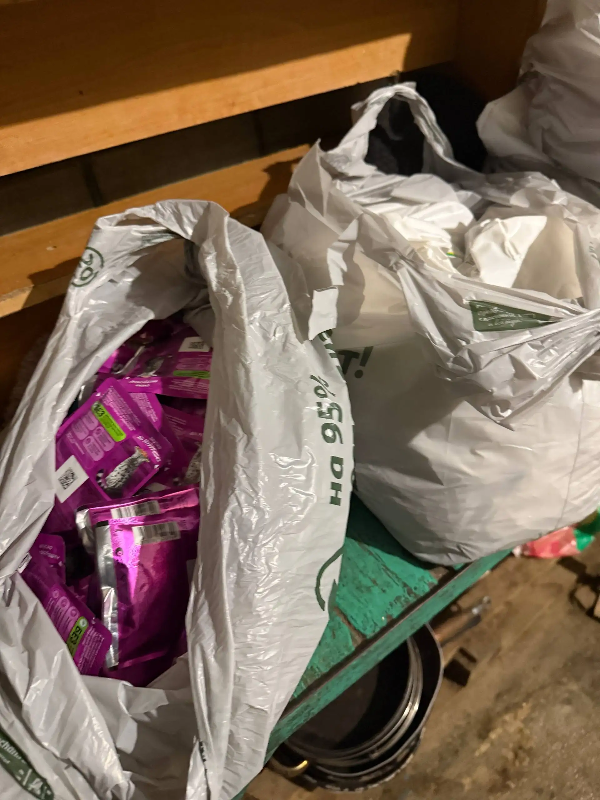 Помощь приюту для котиков в Симферополе - Кошки (Животные) в Симферополь