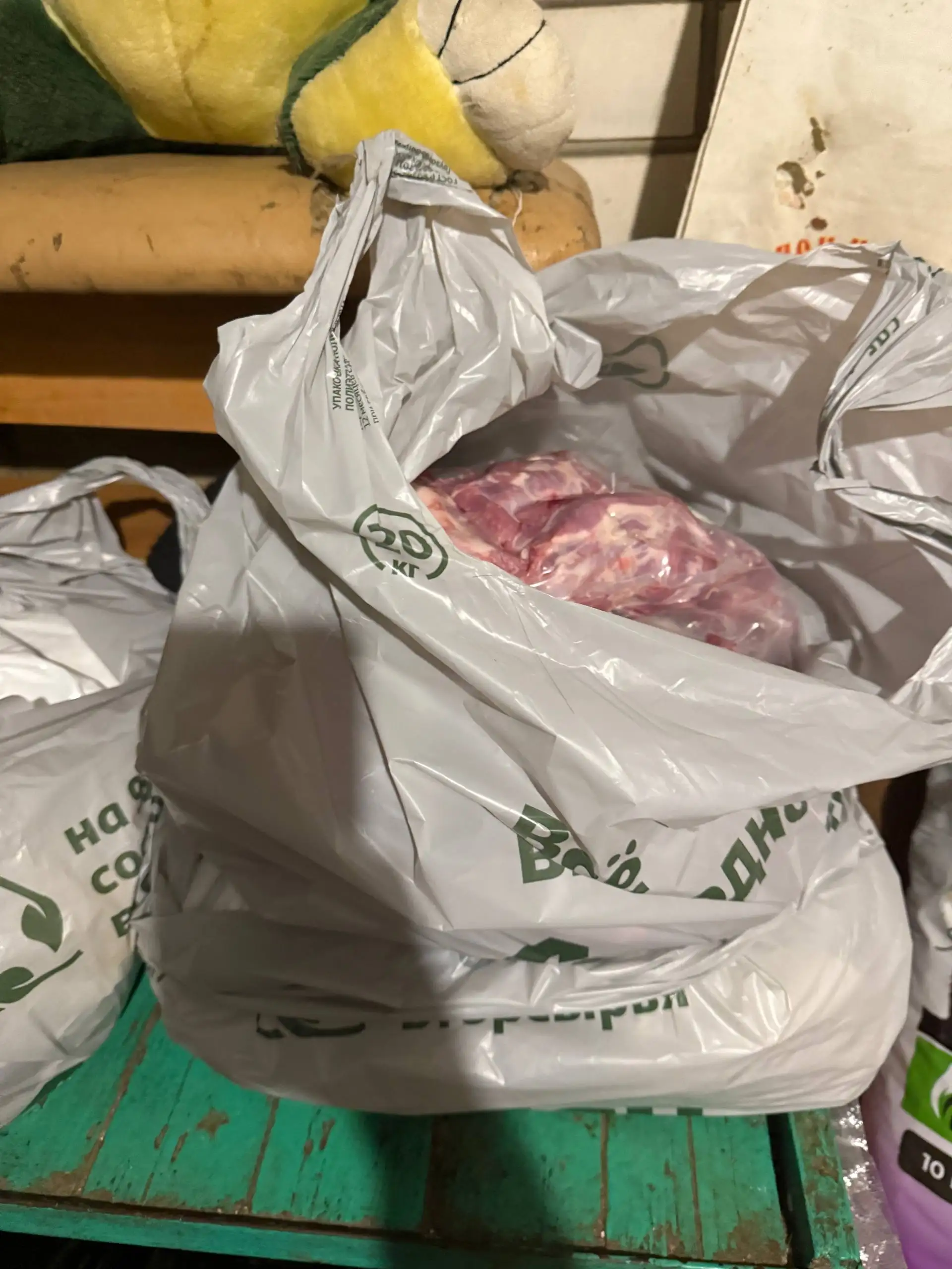 Помощь приюту для котиков в Симферополе - Кошки (Животные) в Симферополь