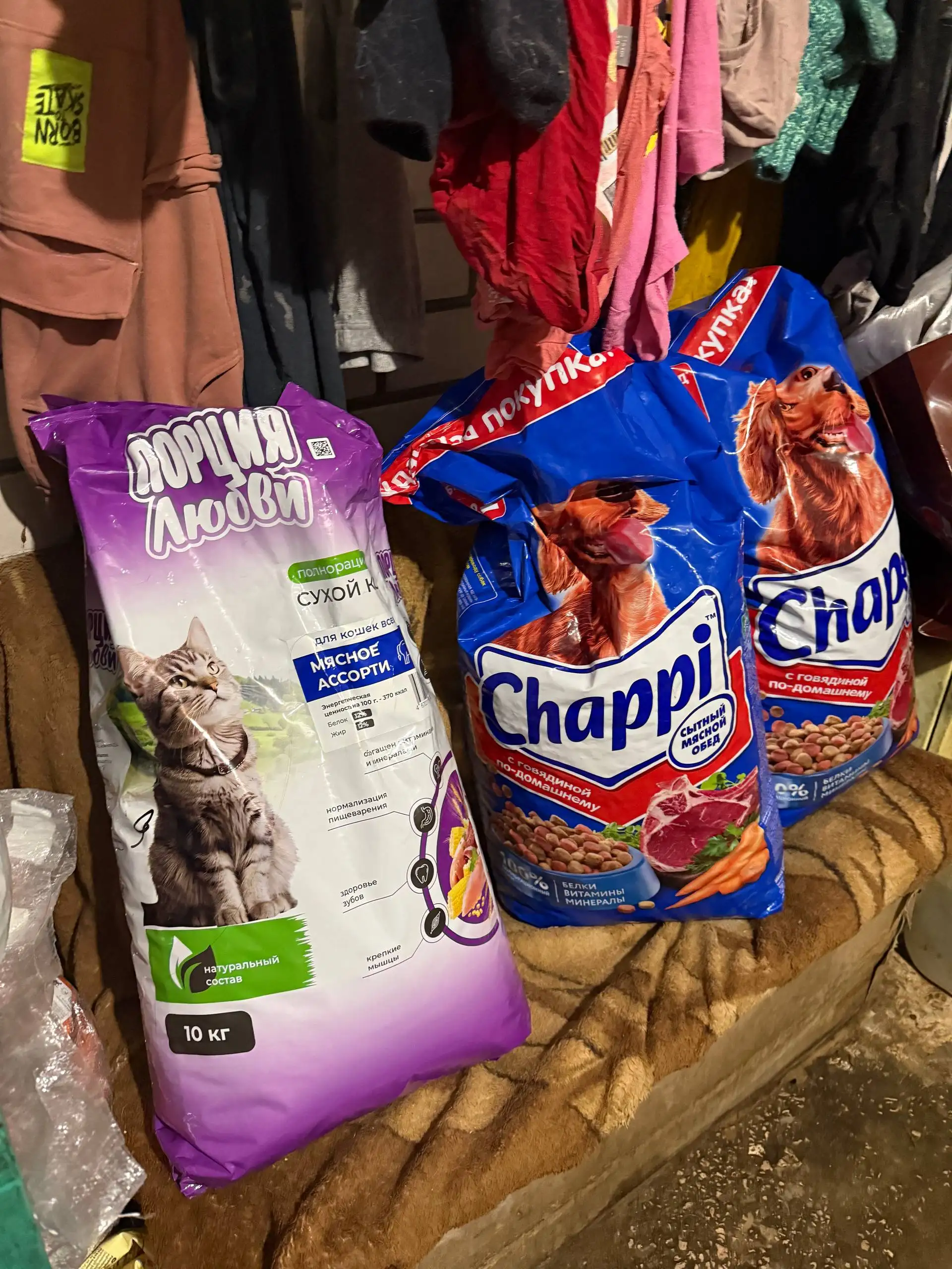 Помощь приюту для котиков в Симферополе - Кошки (Животные) в Симферополь