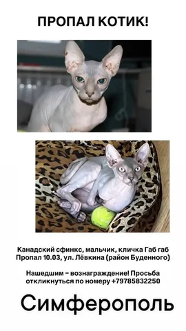 Кухонный комбайн Pollinero - Игрушки в Симферополь