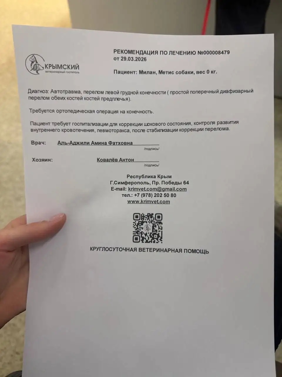 Найден раненый пес в Симферополе - Собаки (Животные) в Симферополь