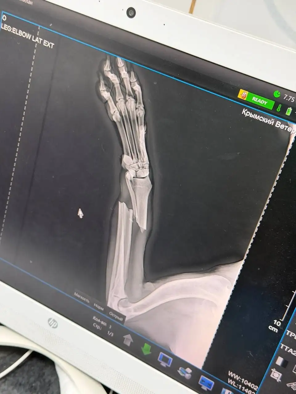 Найден раненый пес в Симферополе - Собаки (Животные) в Симферополь