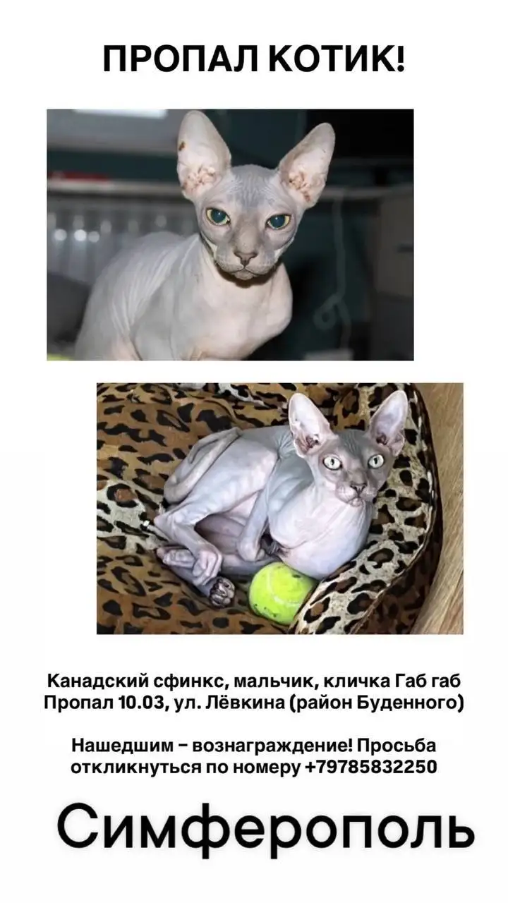 Продажа велосипеда Merida в Симферополе - Велосипеды (Хобби и отдых) в Симферополь