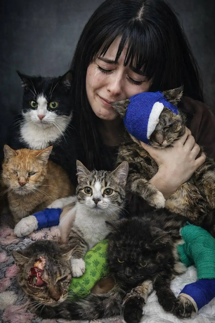 Призыв о помощи для спасения животных в приюте - Приюты и волонтёрство (Животные) в Симферополь