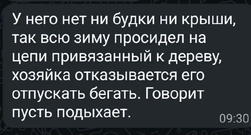 Собака в беду нуждается в помощи - Собаки (Животные) в Симферополь