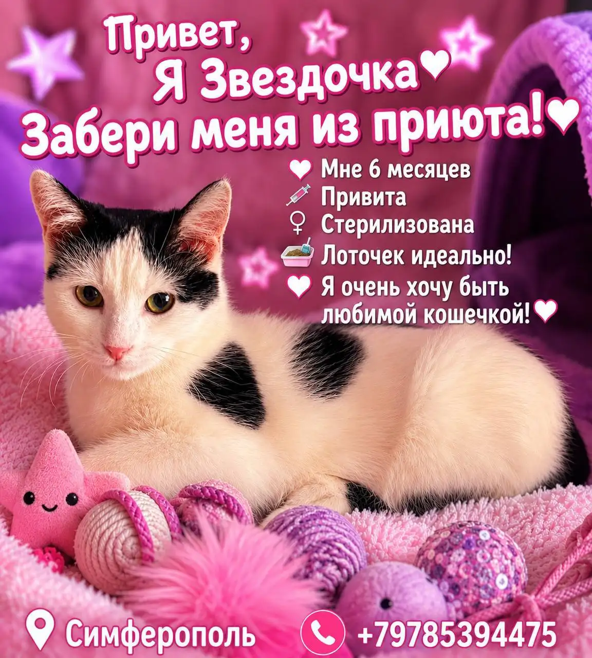 Помощь приюту для животных в Симферополе - Приюты (Животные) в Симферополь