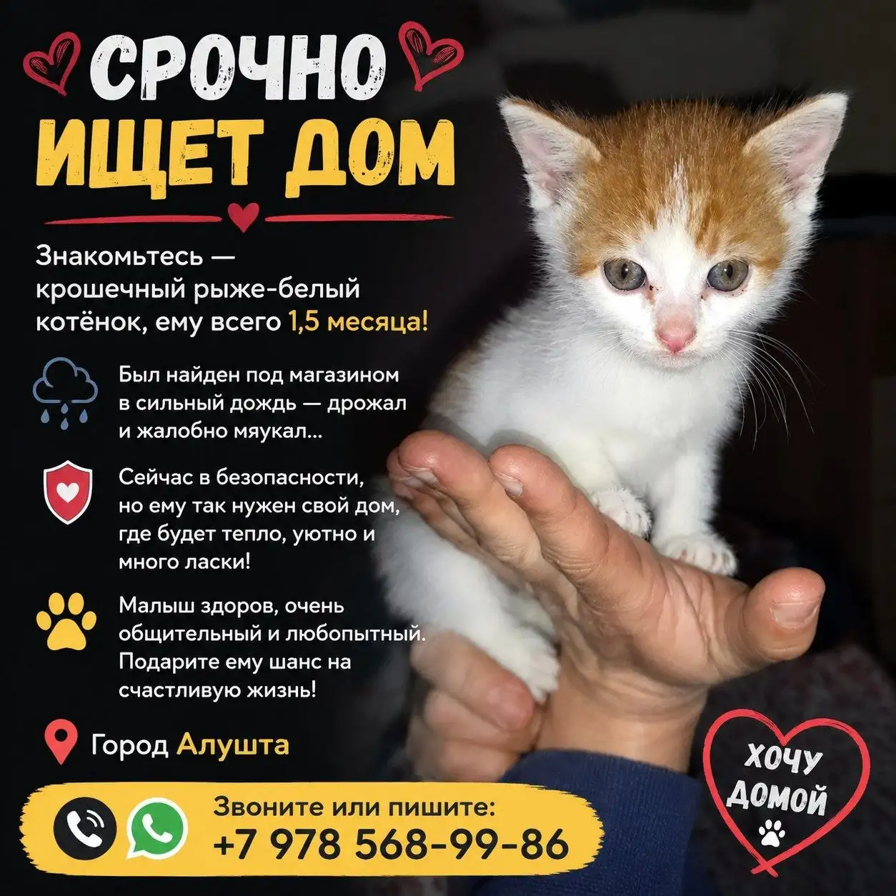 Сено, солома, люцерна, корма для животных - Корма (Животные) в Симферополь