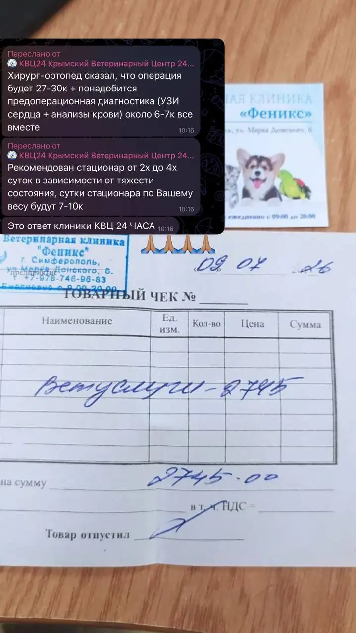Сбор на лечение щенка со переломом бедра - Животные в Симферополь