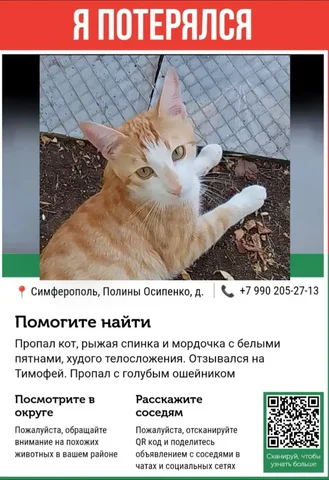 ЖКУ отчет в Симферополе - Путешествия в Симферополь