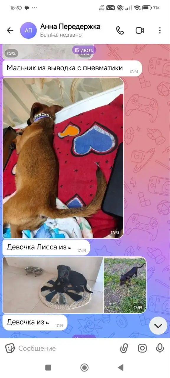 Благодарность за репосты и помощь щенкам - Помощь животным (Животные) в Симферополь