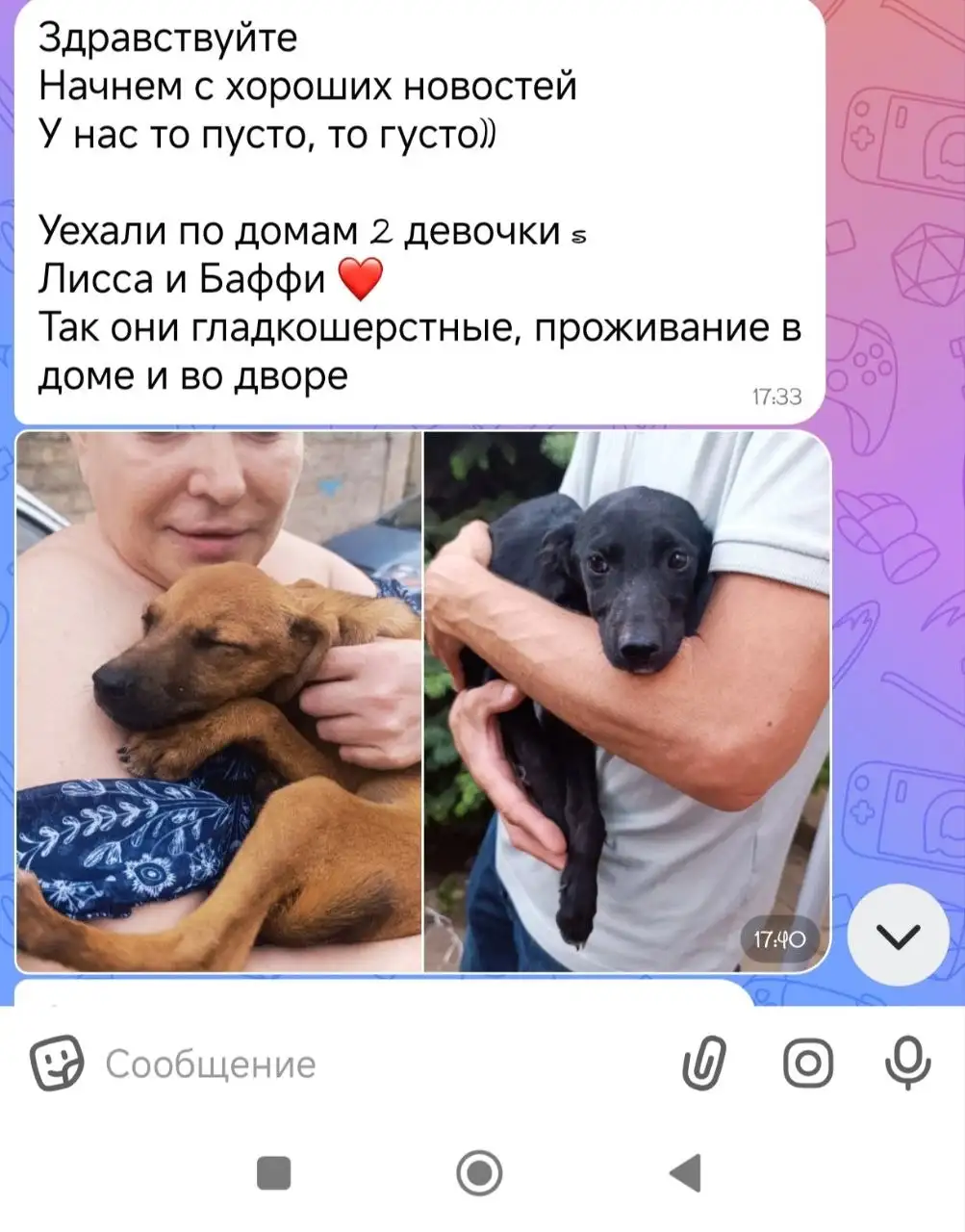 Благодарность за репосты и помощь щенкам - Помощь животным (Животные) в Симферополь