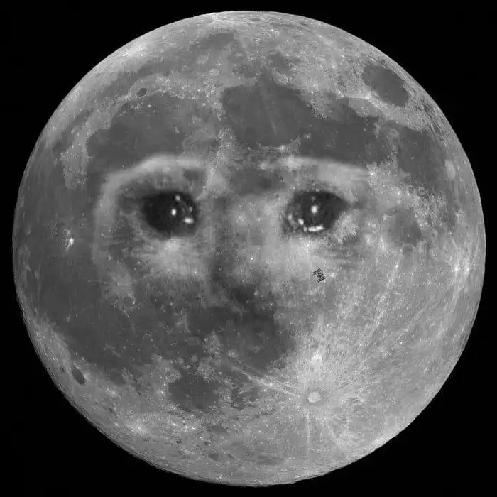 Синхронизация месячных с лунным циклом