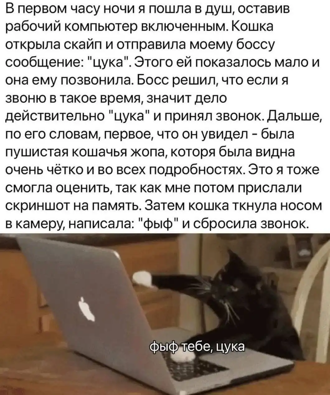 Саваничи в MAX