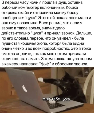 Саваничи в MAX - Разное в Новокузнецк