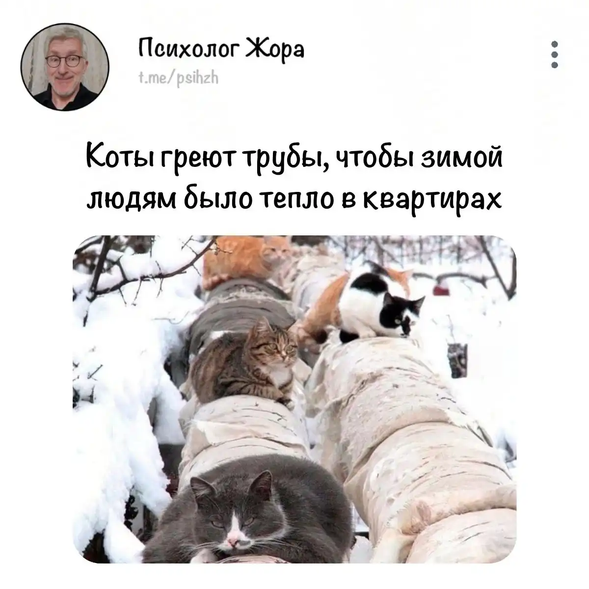 Юмористическое сообщение о тепле