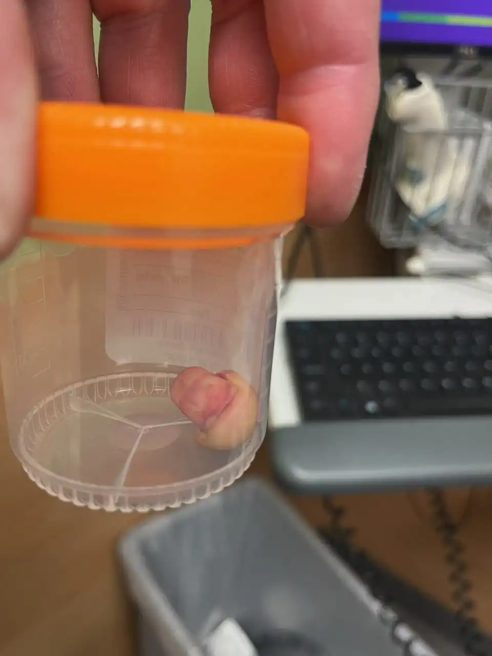 Сообщение о событиях в Миннеаполисе - Барахолка в Новокузнецк