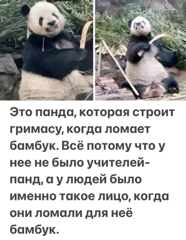 Саваничи в MAX - Металлопрокат в Новокузнецк