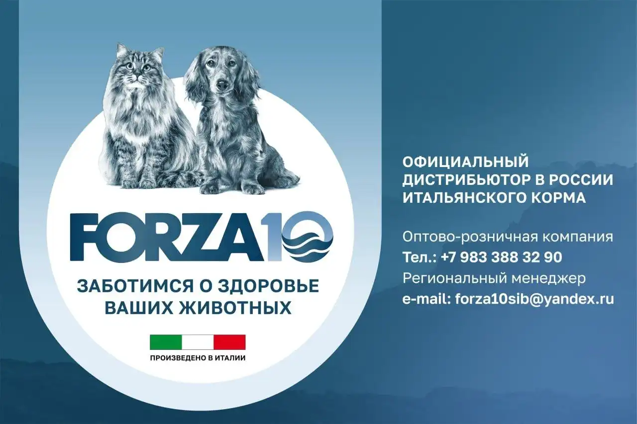 Продажа кормов Forza10 для собак и кошек - Корма для животных (Животные) в Новокузнецк