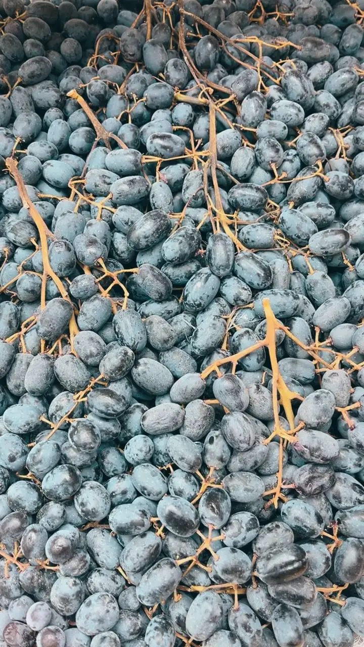 Открытие киоска с фруктами и овощами - Барахолка в Новокузнецк