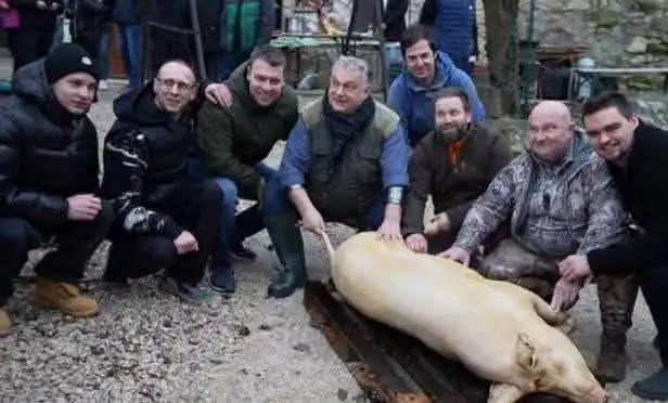 Сообщение о высказывании Зеленского на Мюнхенской конференции - Разное (Барахолка) в Новокузнецк