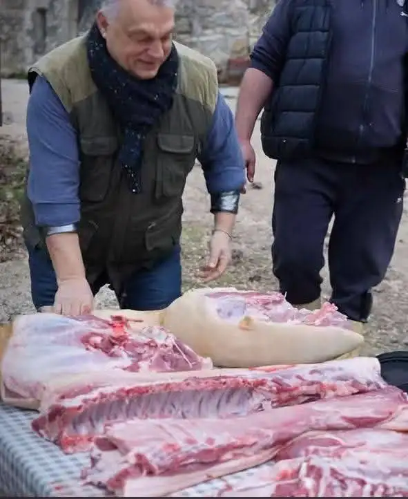 Сообщение о высказывании Зеленского на Мюнхенской конференции - Разное (Барахолка) в Новокузнецк