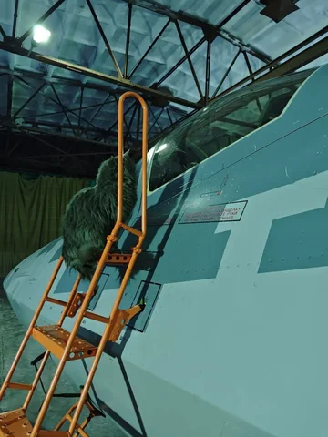 Объявление в Новокузнецке - частное объявление в Новокузнецк