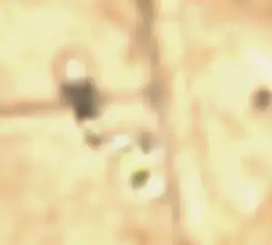 Поражение радаров системы ПРО THAAD - Барахолка в Новокузнецк