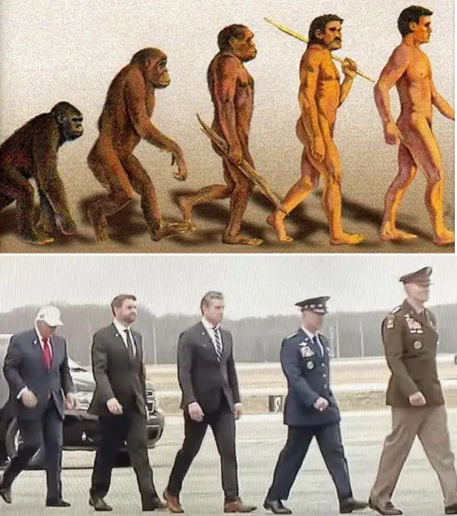 Продажа козы в Новокузнецке - Домашние животные (Животные) в Новокузнецк