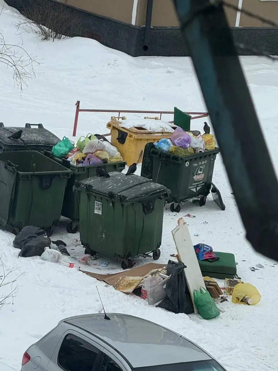 Проблема с крысами в автомобиле в центре Новокузнецка - Ремонт (Авто) в Новокузнецк