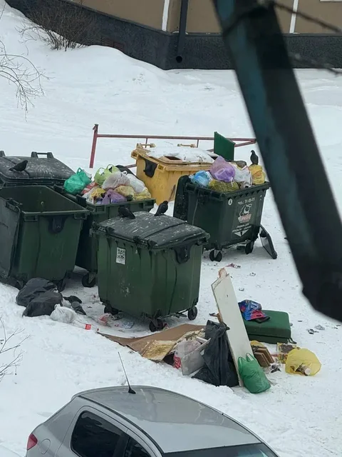 Проблема с крысами в автомобиле в центре Новокузнецка - Авто в Новокузнецк