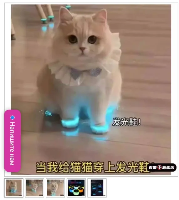 Светящиеся ленты для котов - частное объявление в Новокузнецк