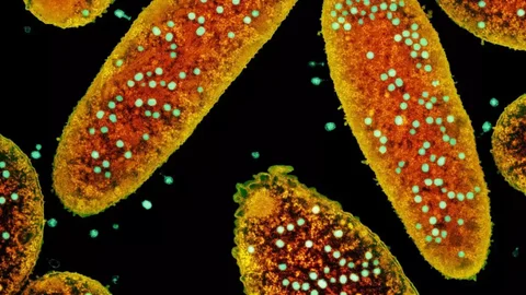 Открытие геномов бактерий: тысячи противовирусных белков - Рыболовное оборудование в Новокузнецк