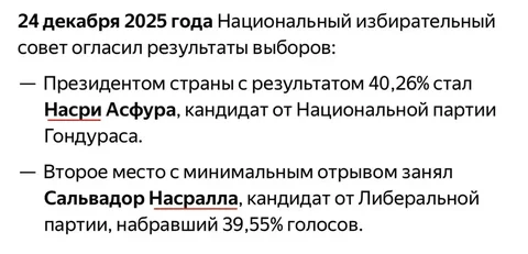 Продаются саваничи - частное объявление в Новокузнецк