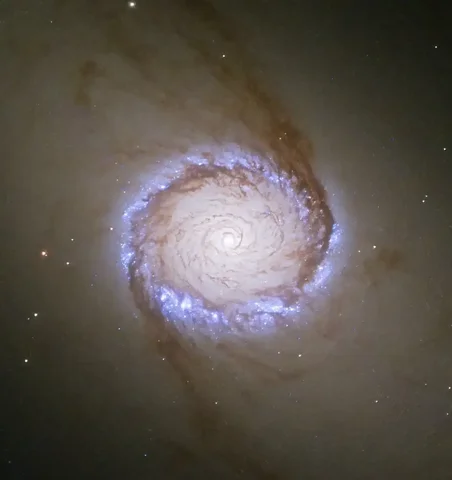 Око Саурона - спиральная галактика NGC 1512 - Комплектующие, Смартфоны в Новокузнецк