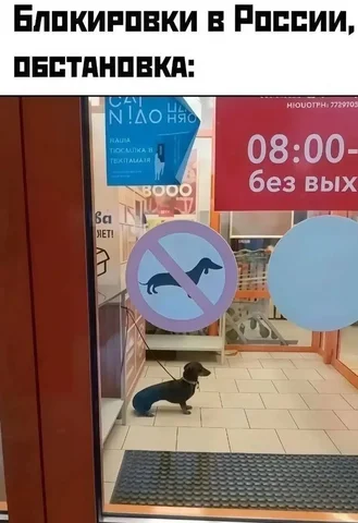 Советский вагон MAX - Аудиотехника в Новокузнецк
