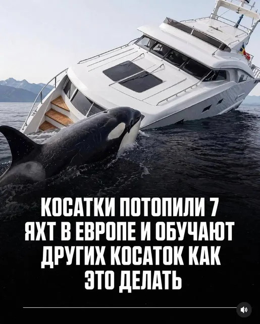 Саваничи в MAX - Велосипеды в Новокузнецк