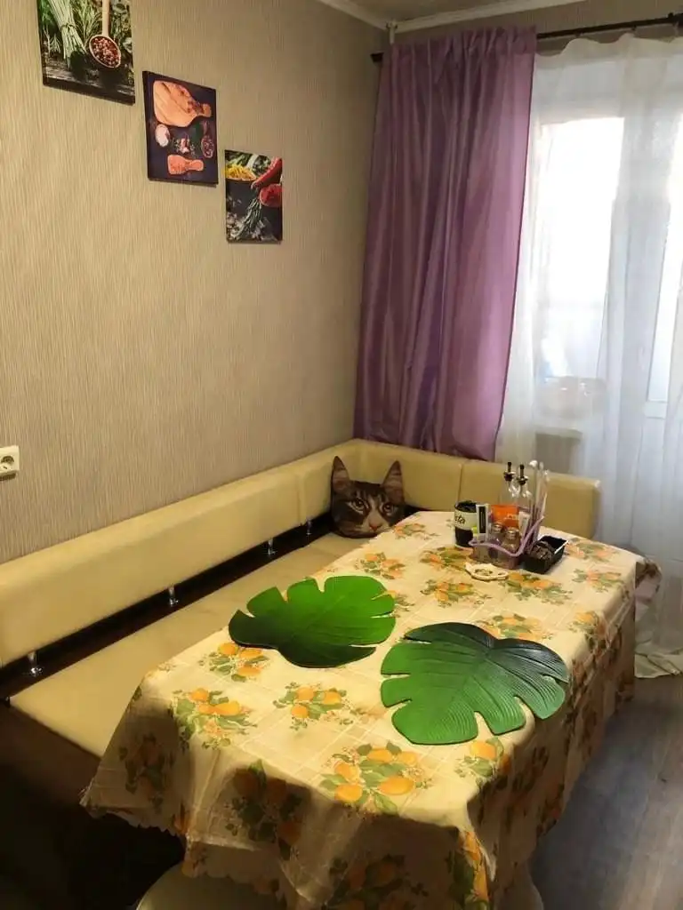 Сдается однокомнатная квартира в Сипайлово, Уфа - Аренда квартир (Недвижимость) в Уфа