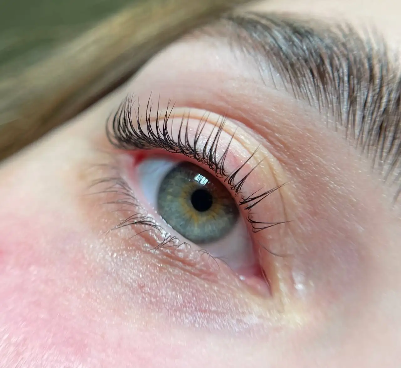 Обучение ламинированию ресниц и оформлению бровей в Химках - Обучение (Услуги) в Химки