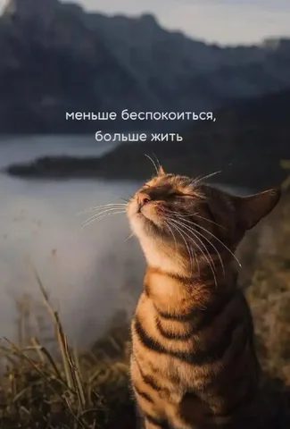 Подготовка квартиры к лету: услуги химчистки и озонирования - Цифровые услуги в Москва