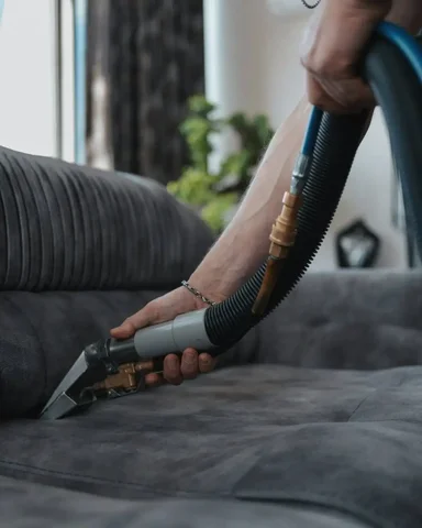 Выведение зеленки с дивана в Химках - Детские лагеря в Химки