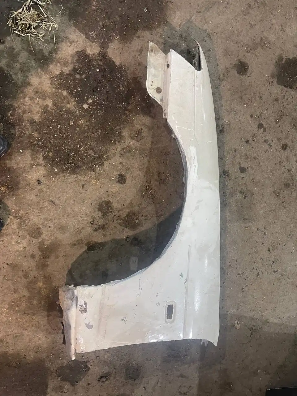 Продам 35 лаурель