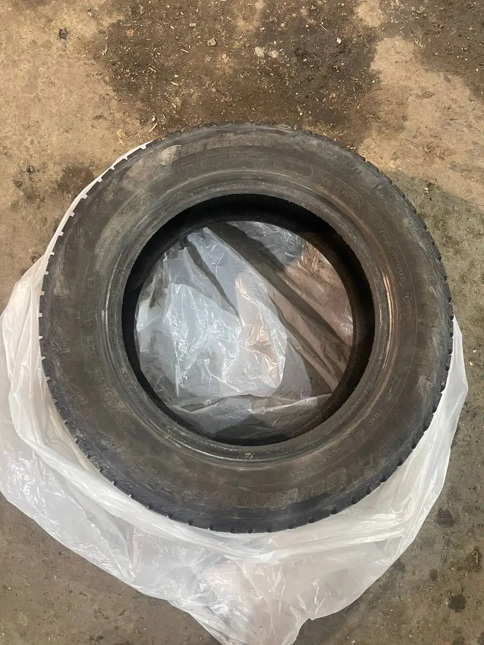 Продам 35 лаурель