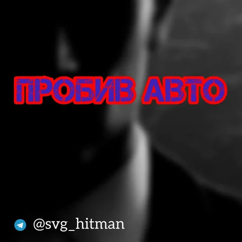 Пробив автомобиля: информация о собственнике и ТС - Аренда жилья для отдыха в Хабаровск