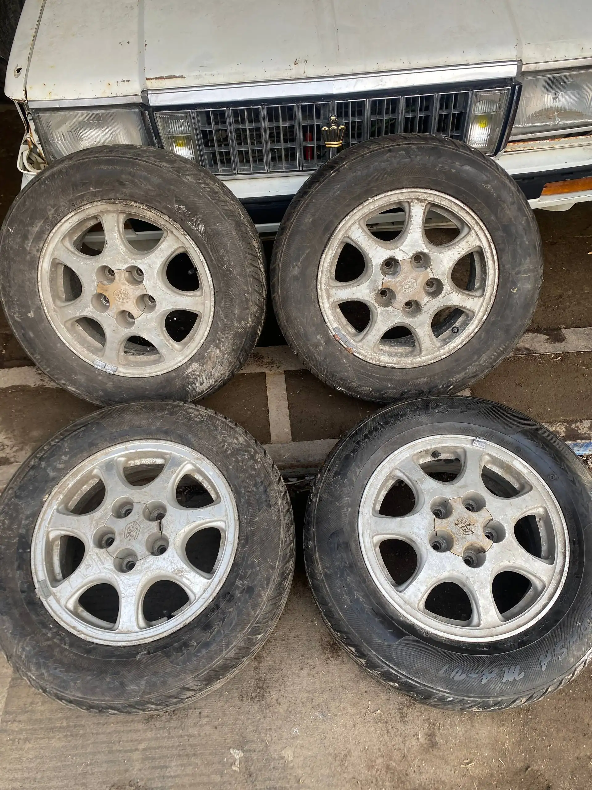 Продажа дисков Volk Racing GT-P и штатных колес - Запчасти (Авто) в Хабаровск