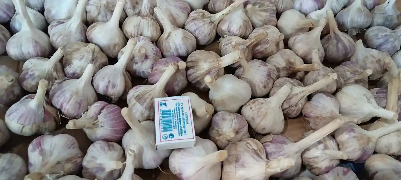 Масло для АКПП, чеснок, детские коньки