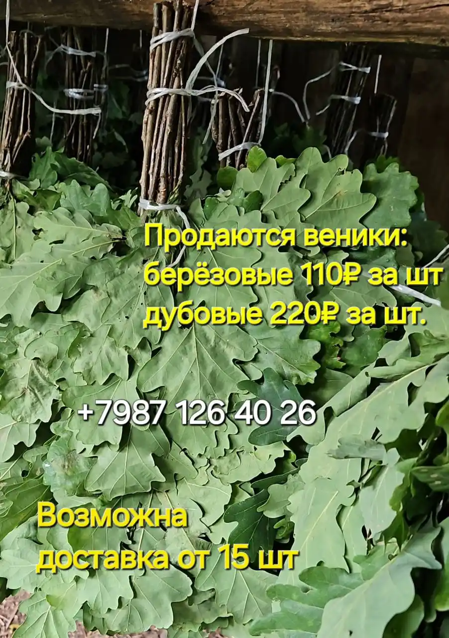 Продажа дубовых и берёзовых веников и мёда - Хобби и отдых в Чебоксары