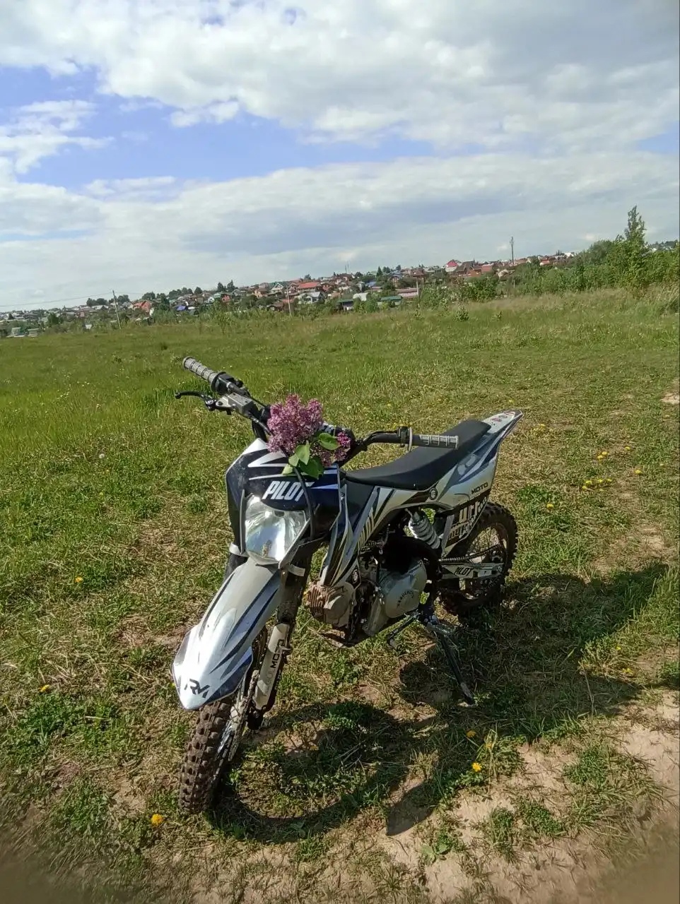 Продажа питбайка Regulmoto Pilot 110 кубов