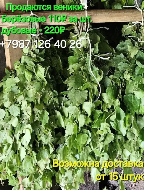 Продажа дубовых и березовых веников - Хобби и отдых в Чебоксары