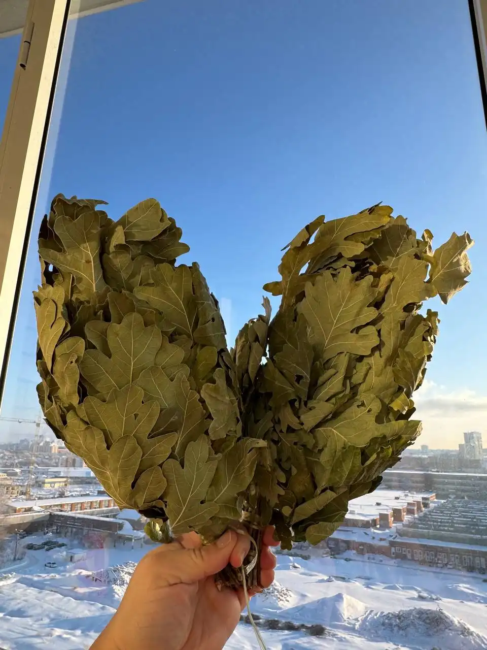 Банные веники ручной работы - Банные принадлежности (Хобби и отдых) в Чебоксары